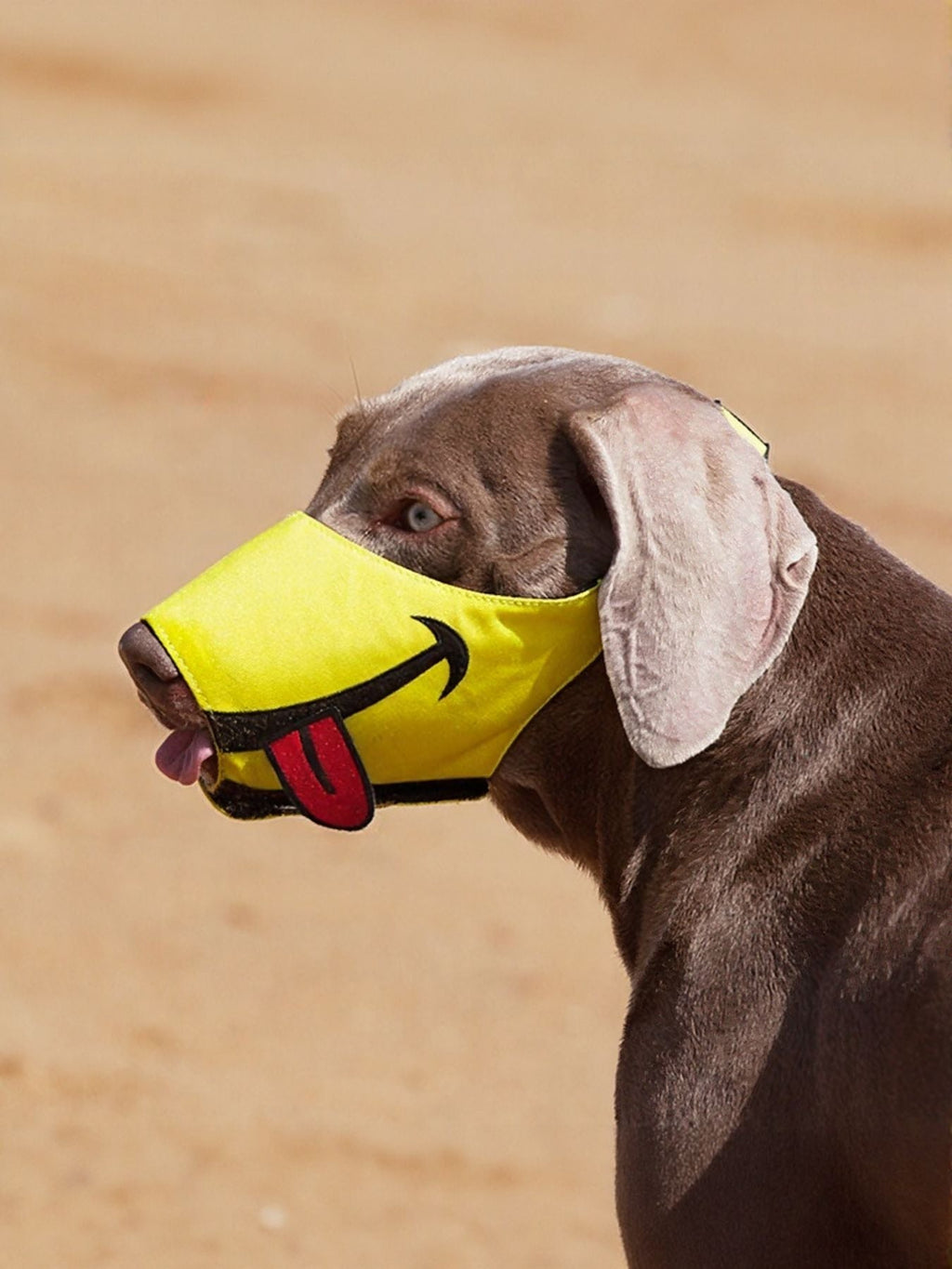 Bozal antimordeduras con diseño divertido para mascotas - Artículos HE