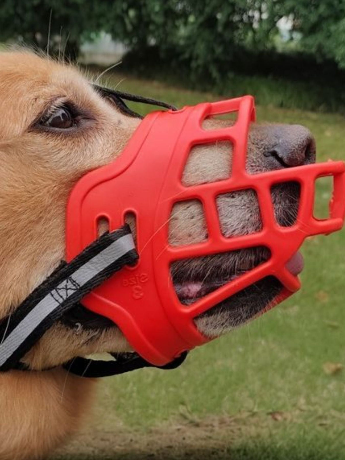 Bozal antimordeduras para mascotas - Artículos HE