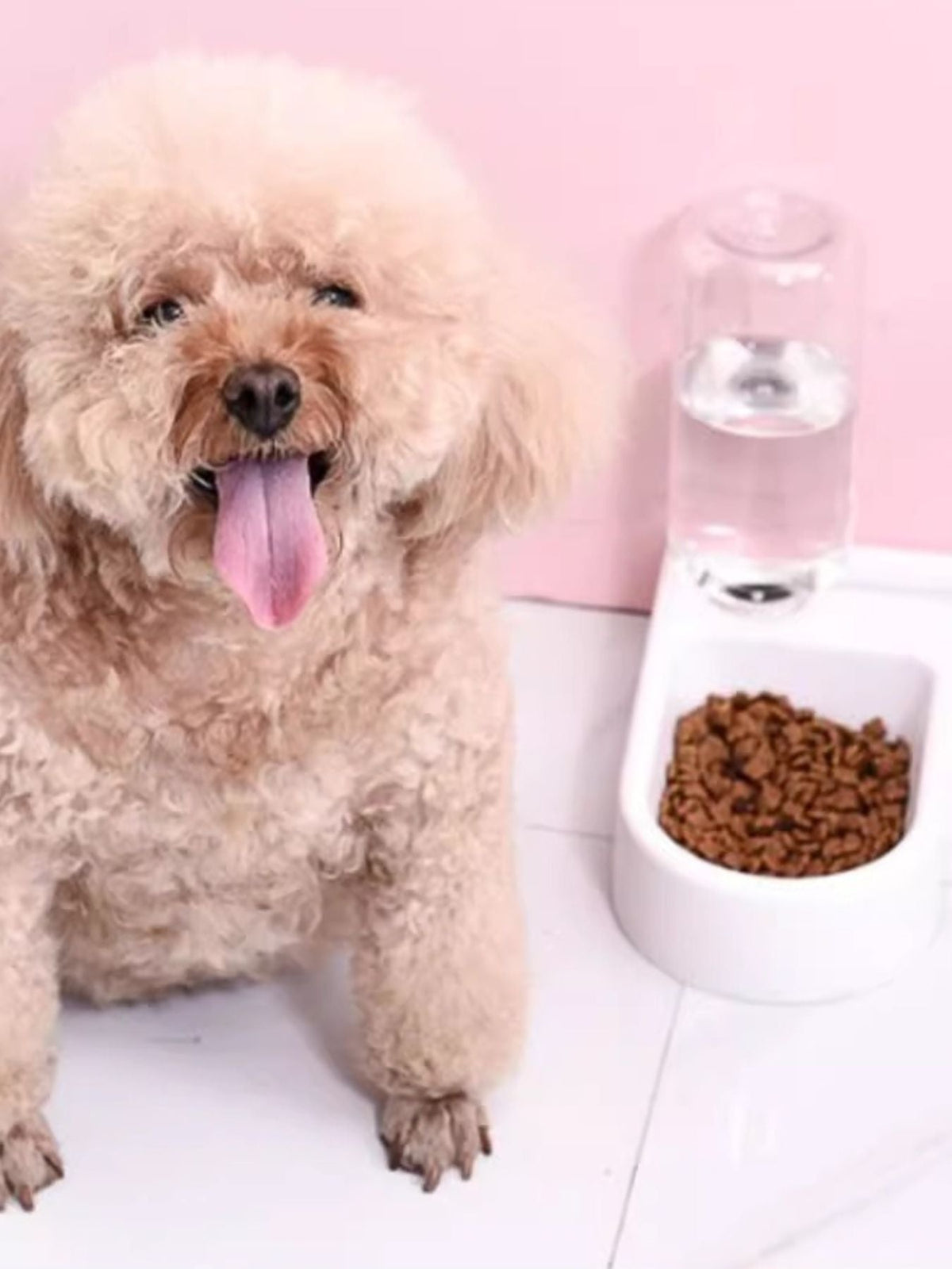Cuenco bebedero automático con relleno para mascotas - Artículos HE