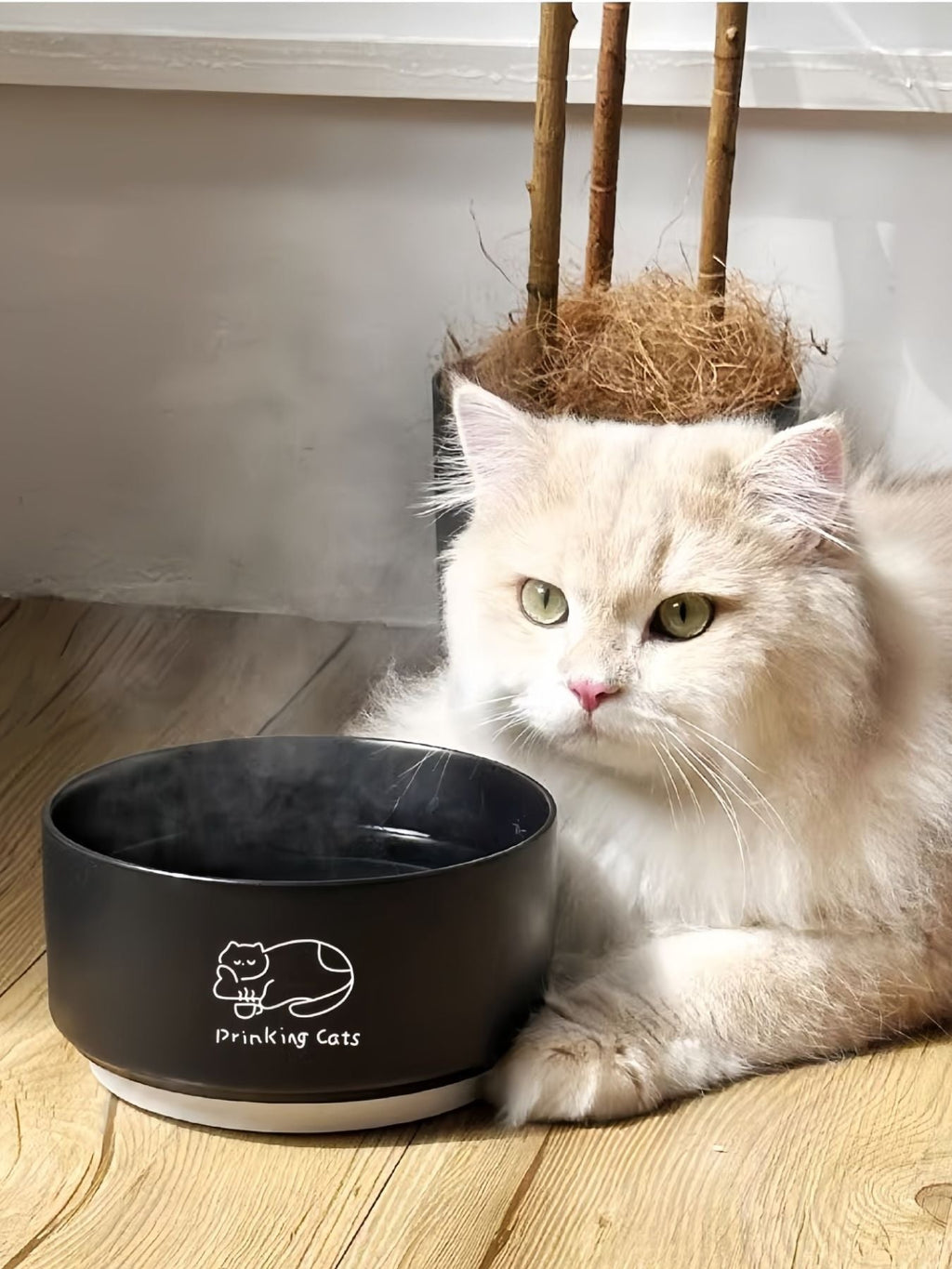 Cuenco de cerámica para mascotas con diseño de gatos - Artículos HE