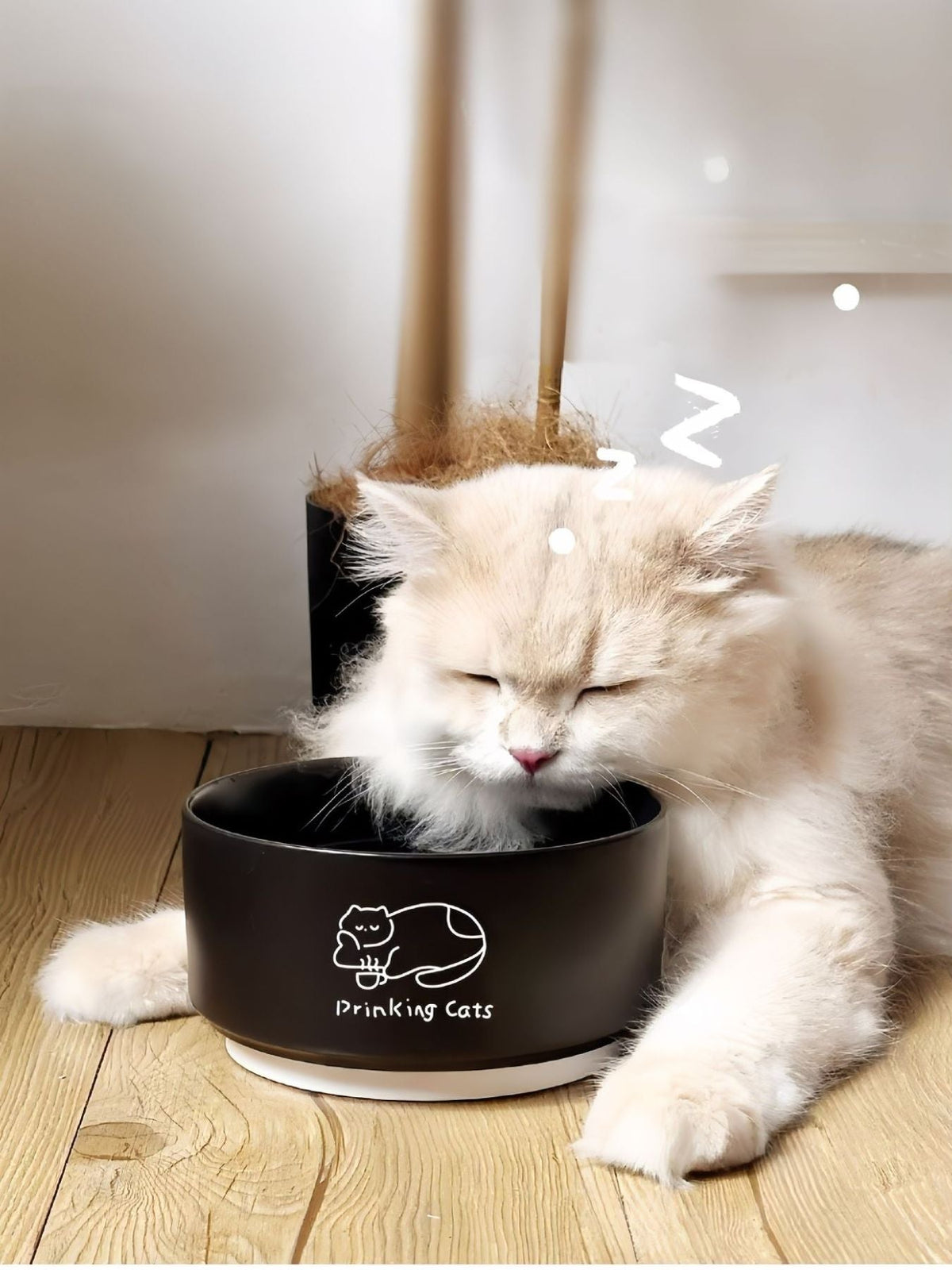 Cuenco de cerámica para mascotas con diseño de gatos - Artículos HE