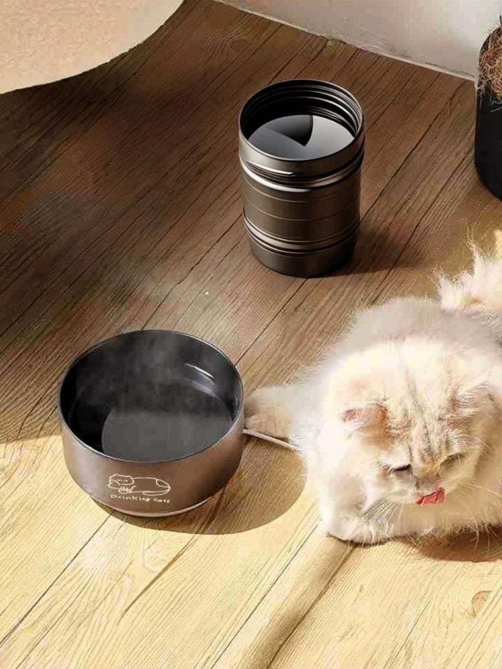 Cuenco de cerámica para mascotas con diseño de gatos - Artículos HE