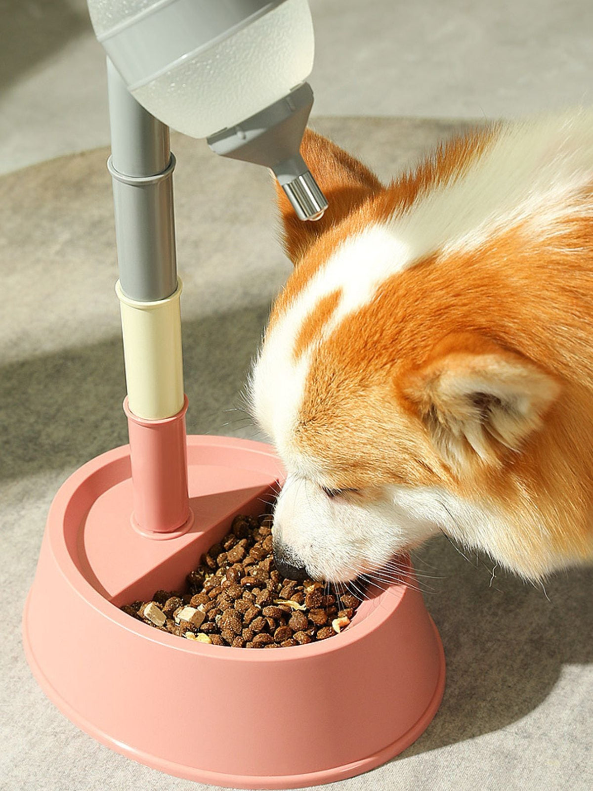 Dispensador automático de agua para mascotas - Artículos HE