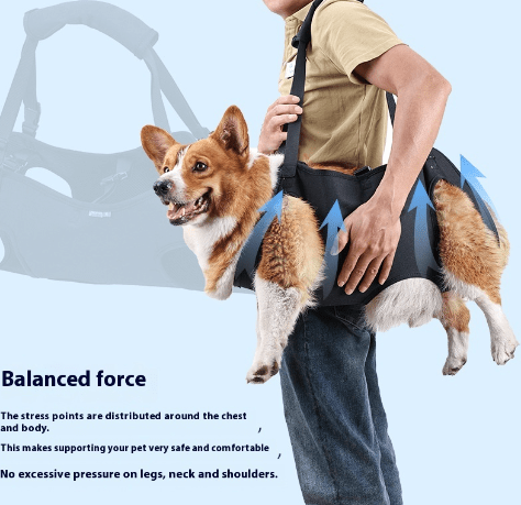 Dog Injury Travel Auxiliary Strap - Artículos HE