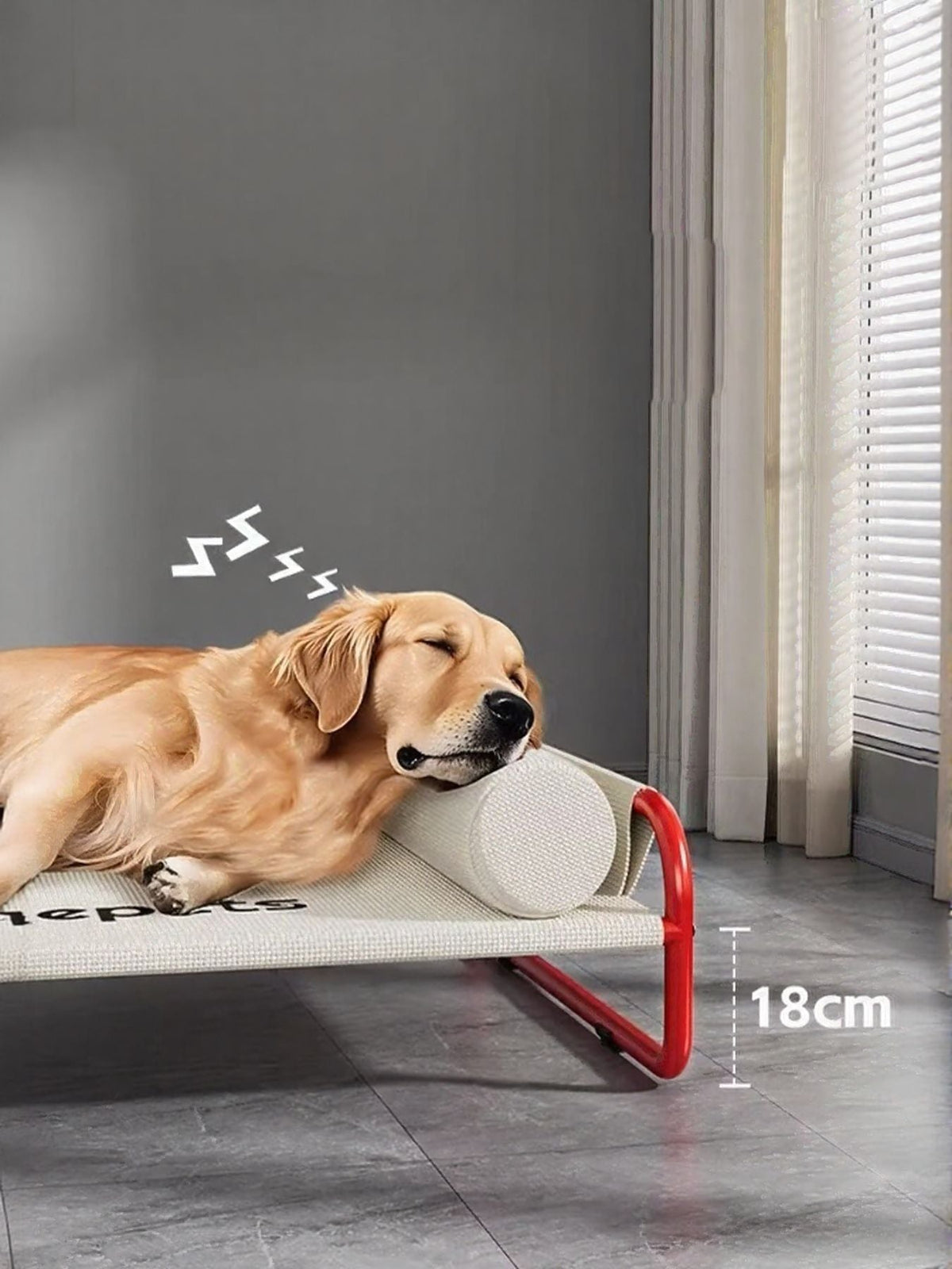 Foldable Pet Bed - Artículos HE