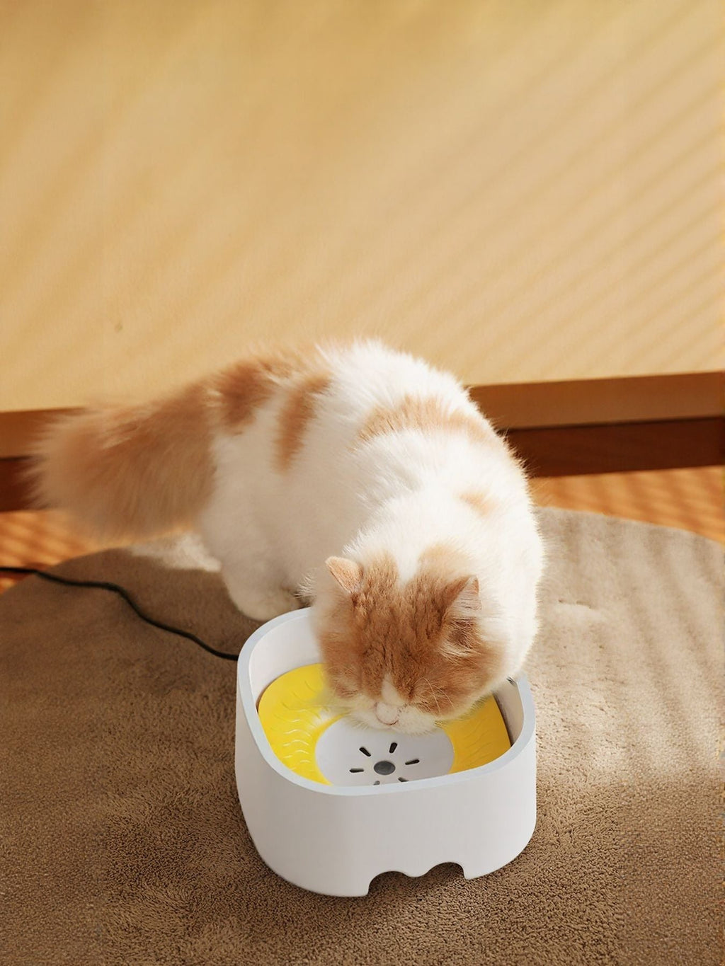 Fuente de agua con filtro automática para mascotas - Artículos HE