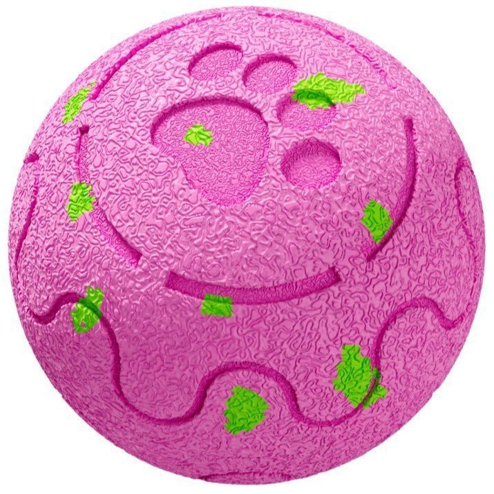 Interactive Pet Ball - Artículos HE