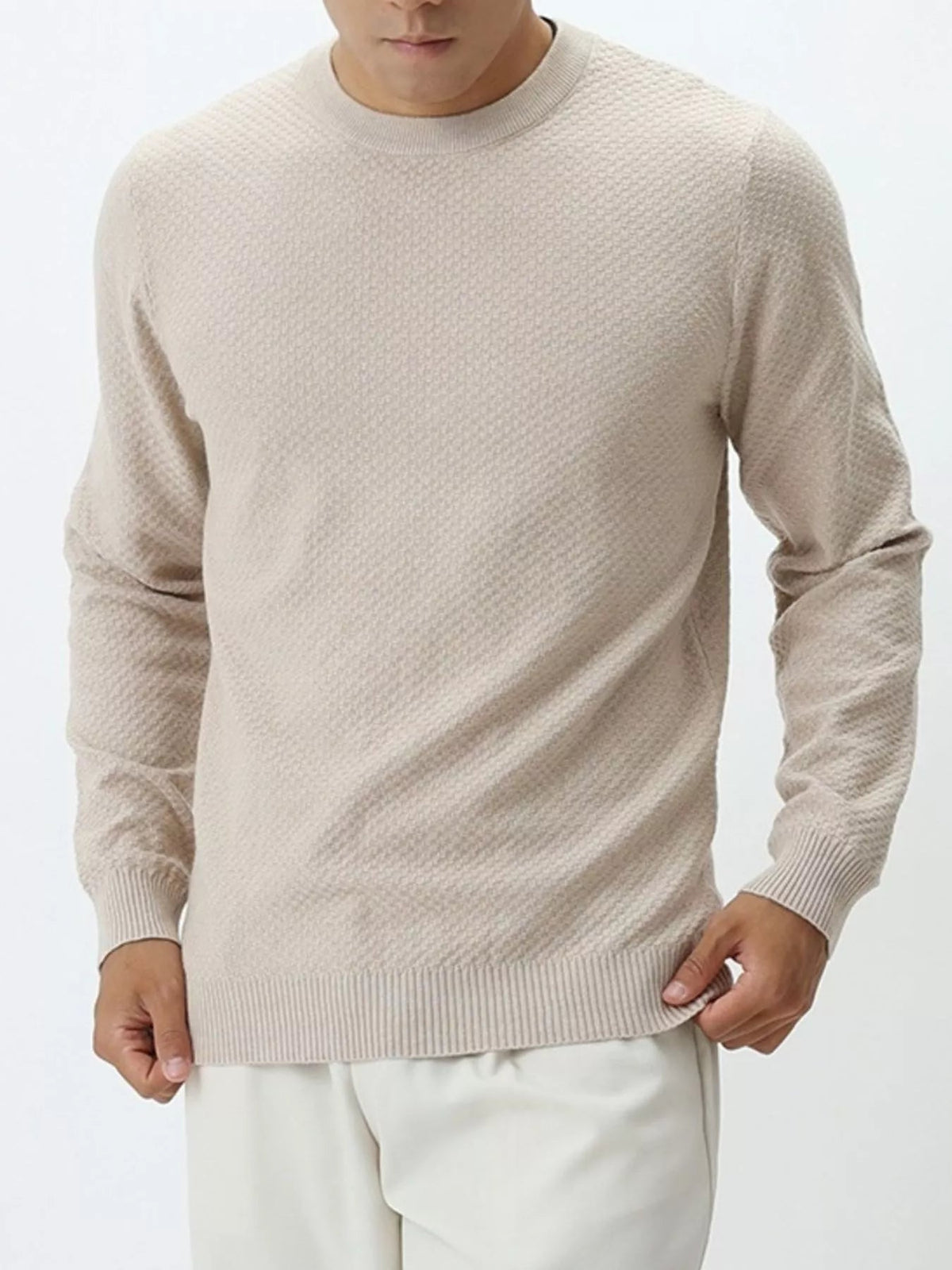 Men's Plus Size Textured Crew Neck Sweater - Artículos HE
