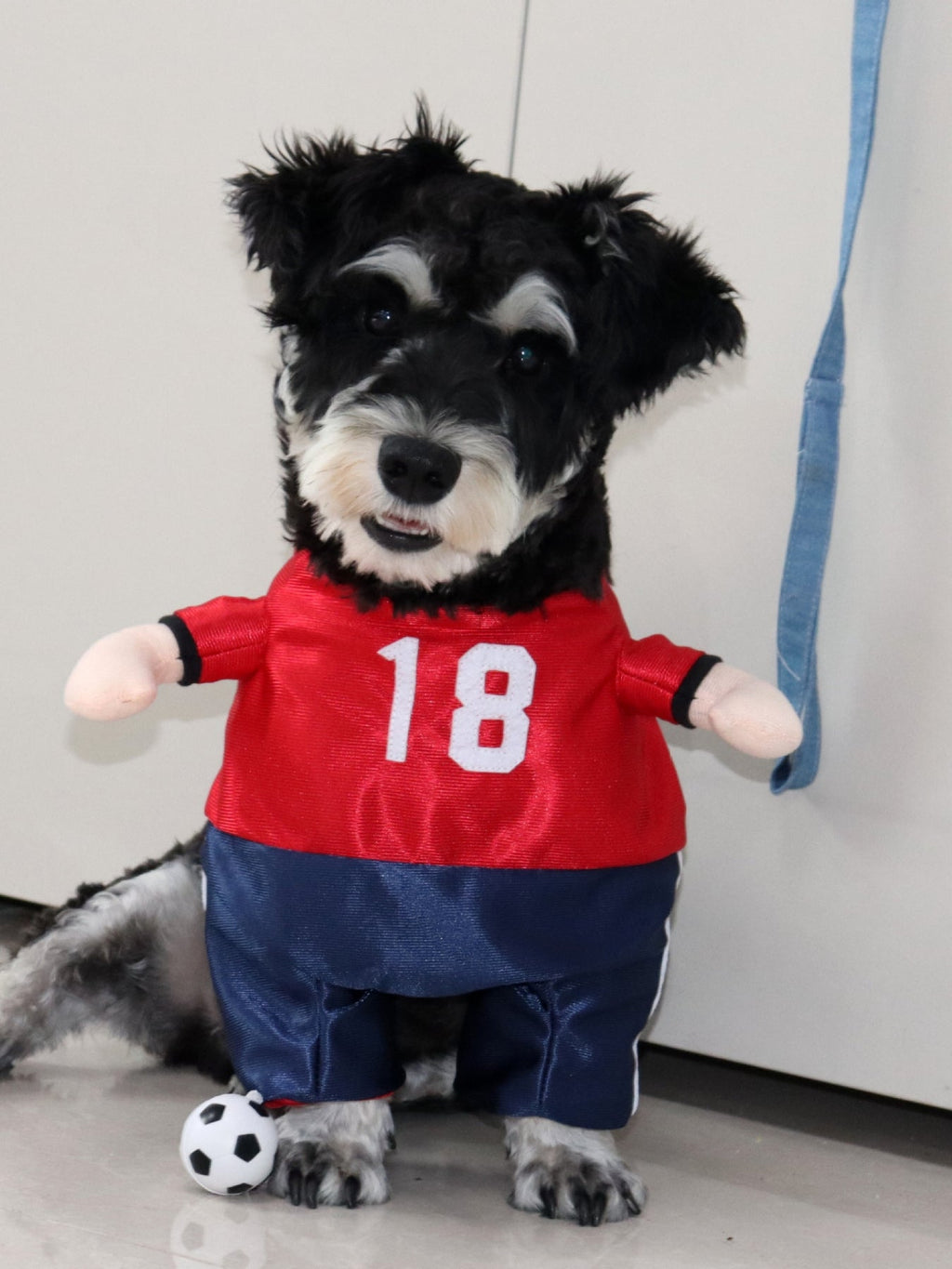Mono con números para mascotas - Artículos HE