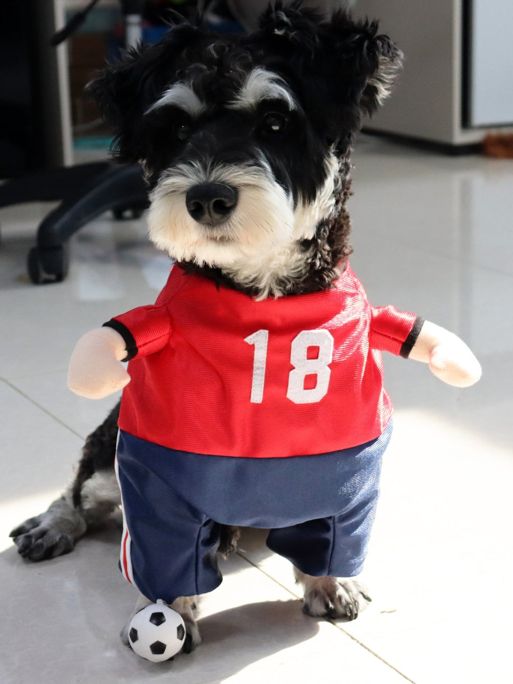 Mono con números para mascotas - Artículos HE