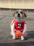 Mono deportivo de baloncesto para mascotas - Artículos HE
