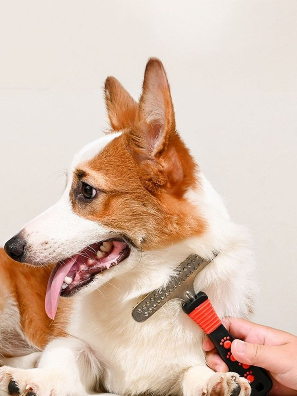 Peine quitapelos portátil para mascotas - Artículos HE
