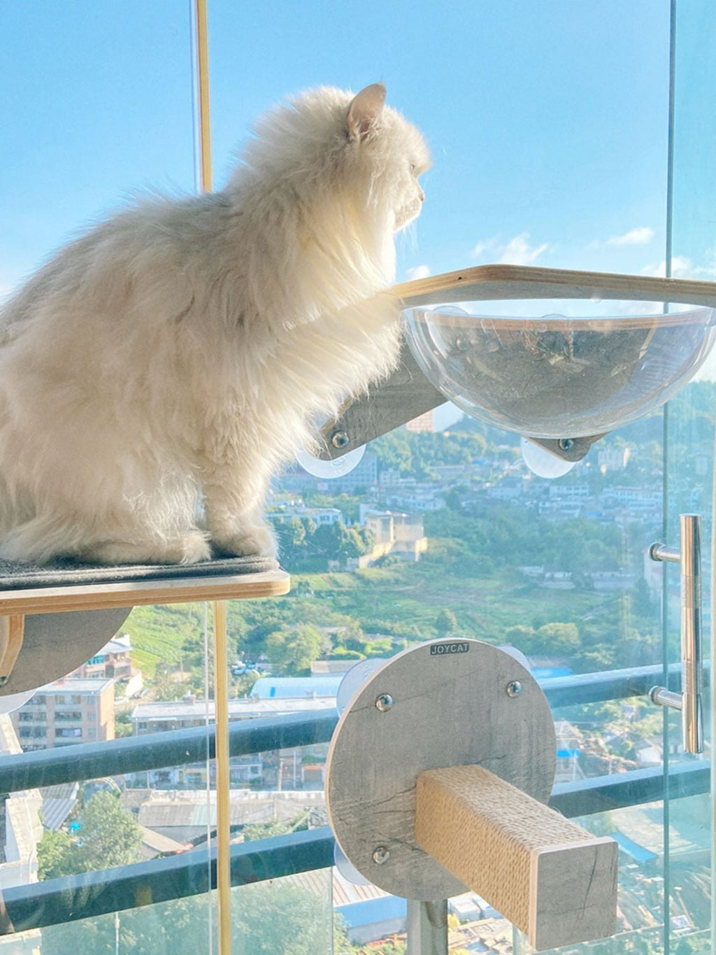 Rascador para gatos con ventosa para ventana - Artículos HE