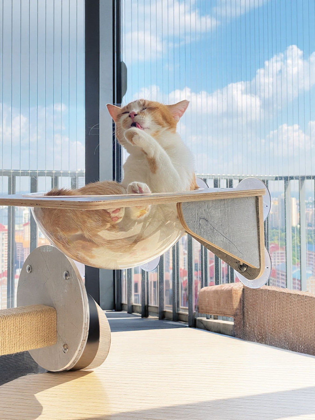 Rascador para gatos con ventosa para ventana - Artículos HE