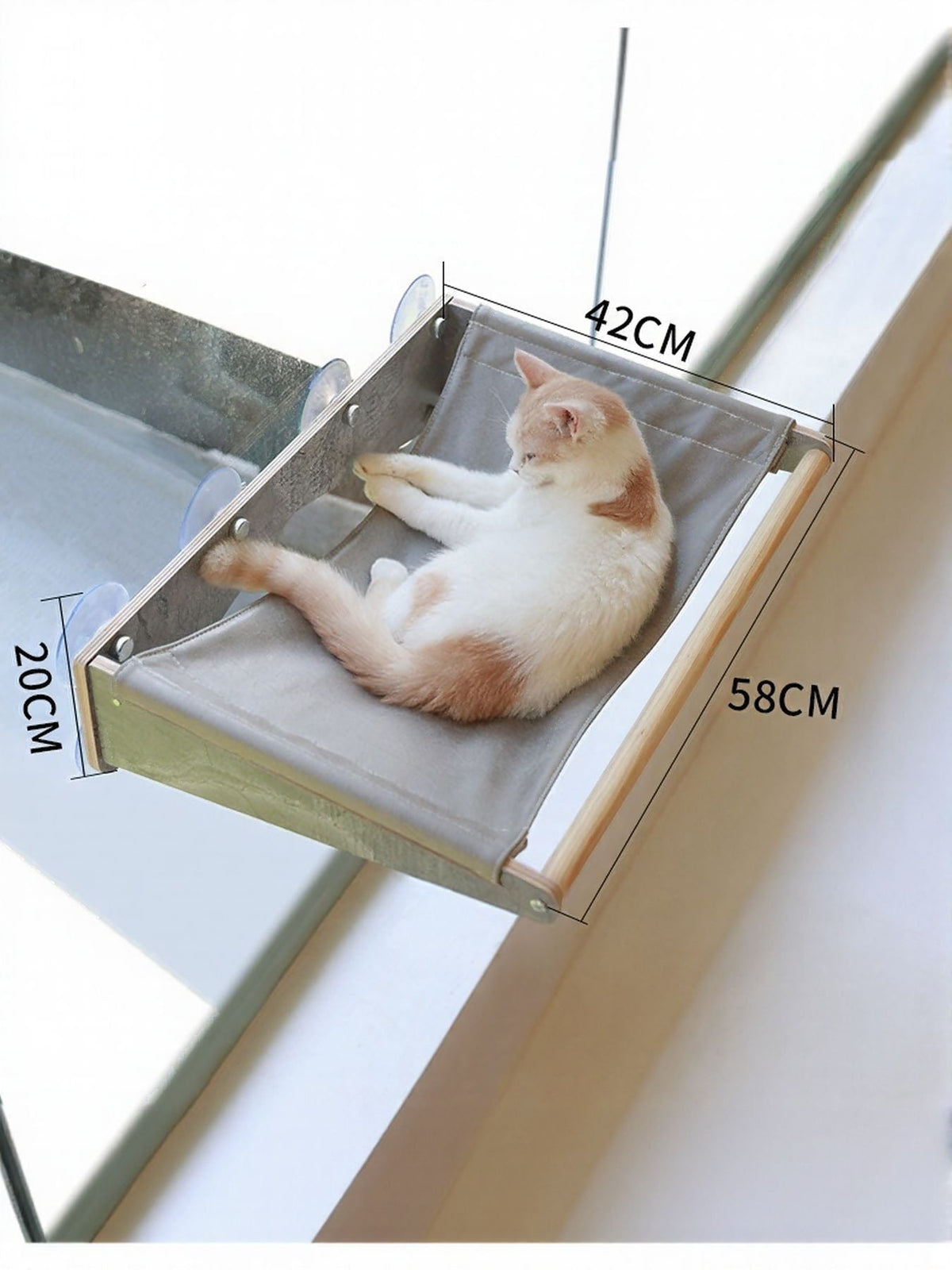 Rascador para gatos con ventosa para ventana - Artículos HE